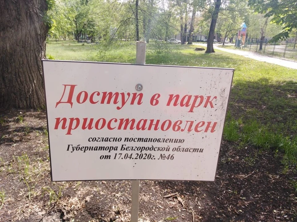 Пока вход в Центральный парк Белгорода запрещен.