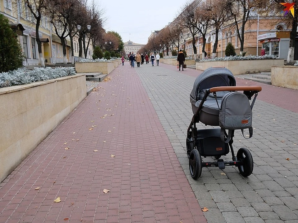 Найти коляску по фото