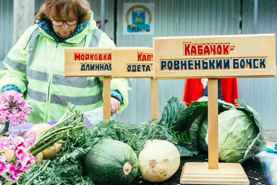 Маркетплейс для продажи товаров местными производителями может быть запущен в Псковской области уже в ближайшее время.