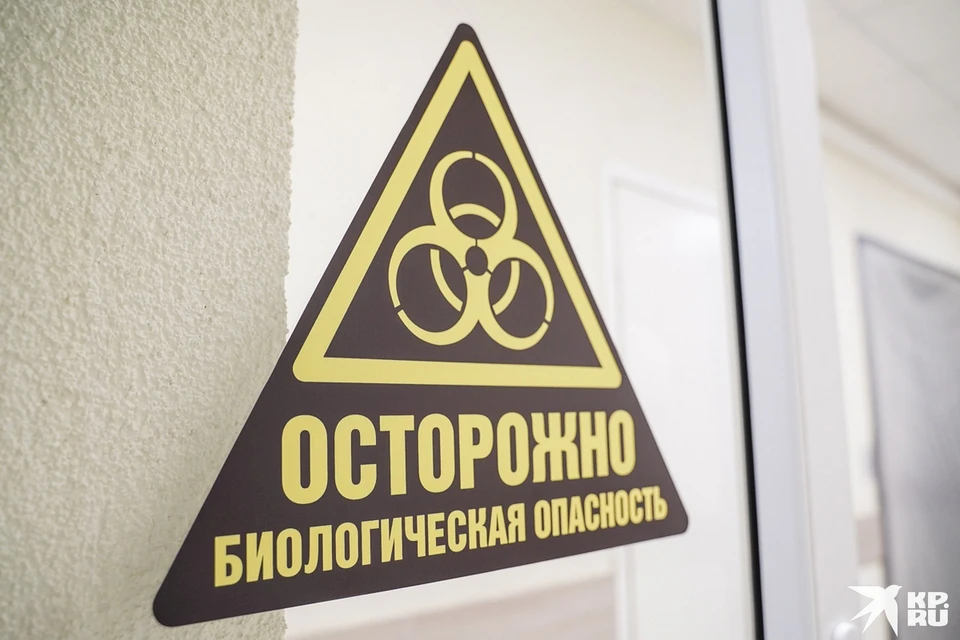 Коронавирус серьезно повлиял на состояние экономики