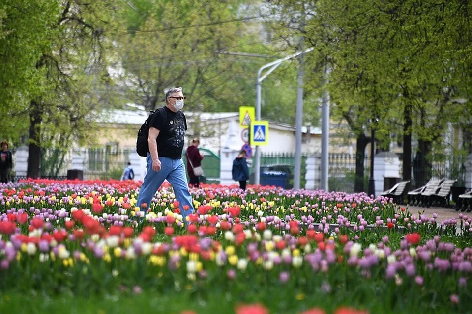 Число инфицированных коронавирусом в Москве за сутки возросло на 3238 человек