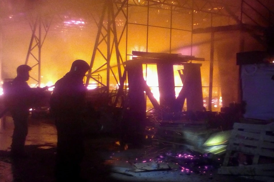 Пожару был присвоен повышенный ранг. Фото: 92.mchs.gov.ru