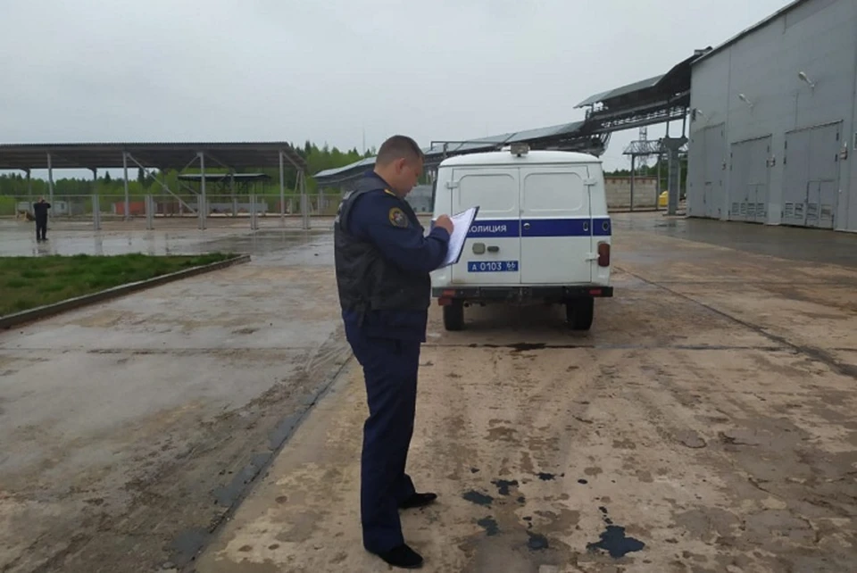 Фото: пресс-служба СКР по Свердловской области