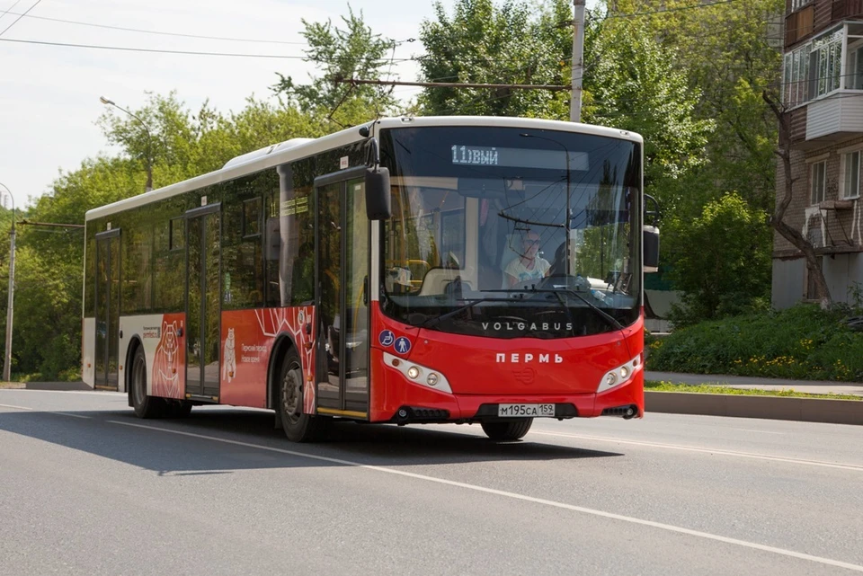 Было приобретено 65 дизельных и 20 газомоторных автобусов марки Volgabus.
