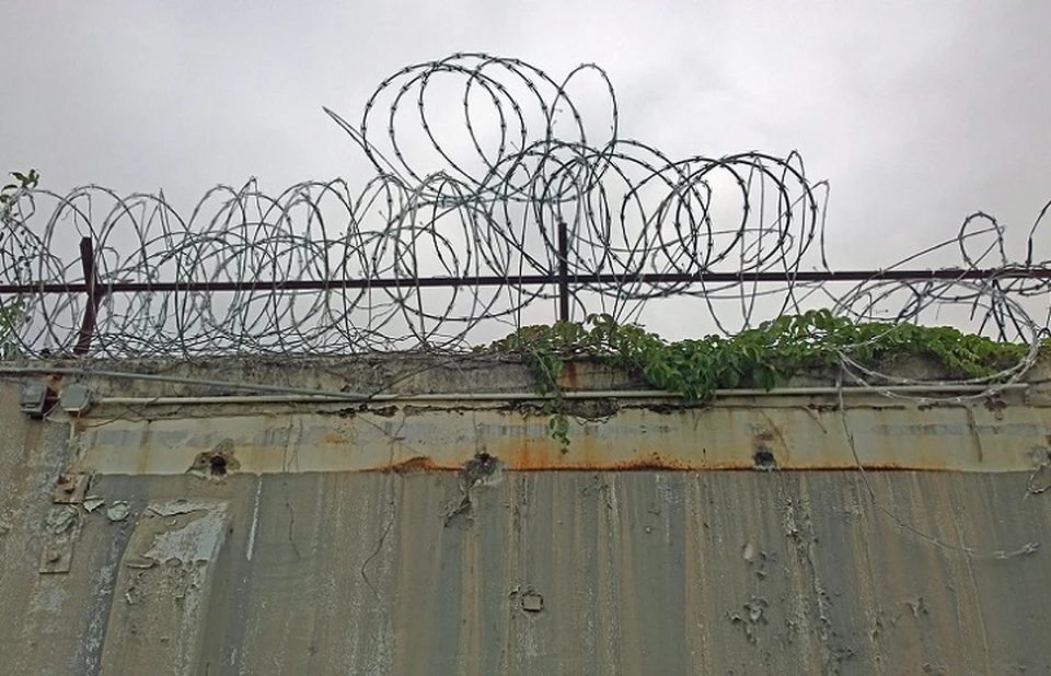 Адвокат просил суд освободить своего подзащитного на время следствия