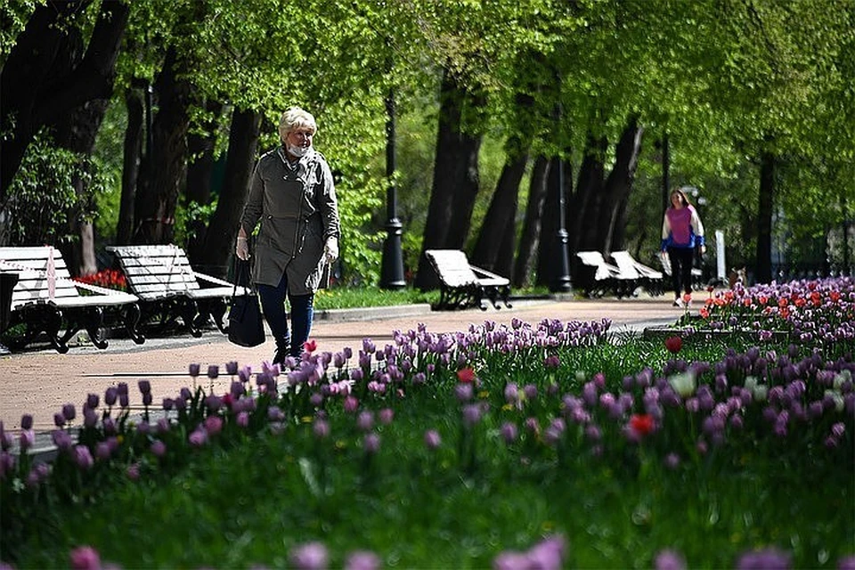 «КП» – о последних новостях на утро 25 мая 2020 года