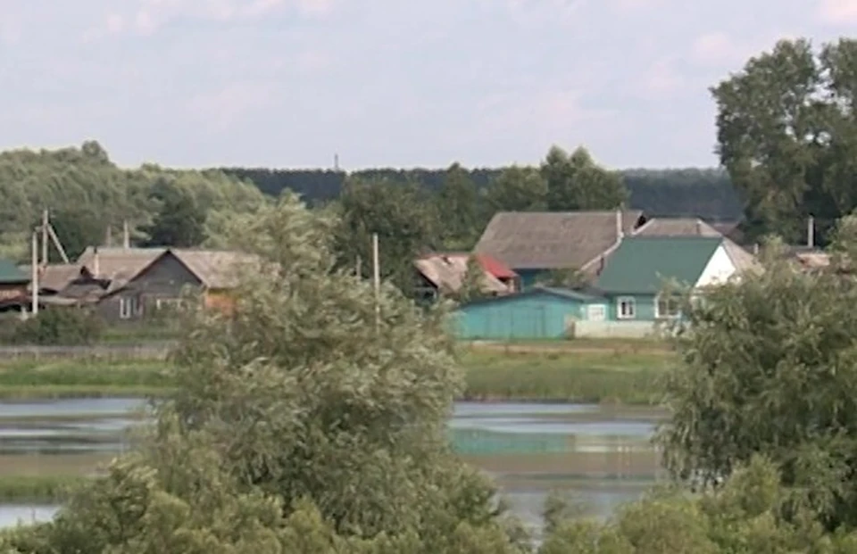 На карантин закрыли деревню Стародубка Калачинского района. Фото: «12 канал»