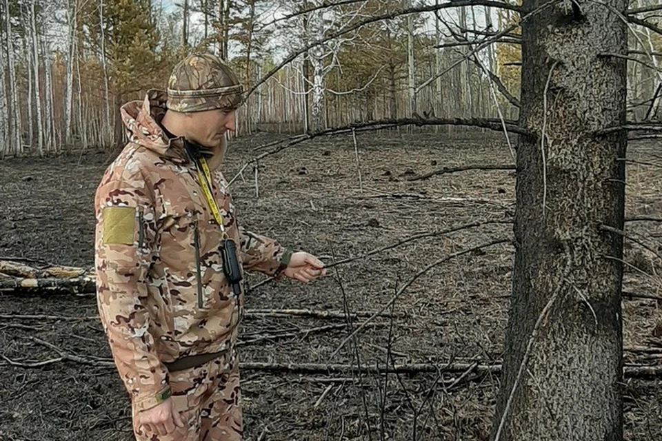В Красноярском крае в штат лесоохраны набирают 100 человек. Фото: пресс-служба правительства края