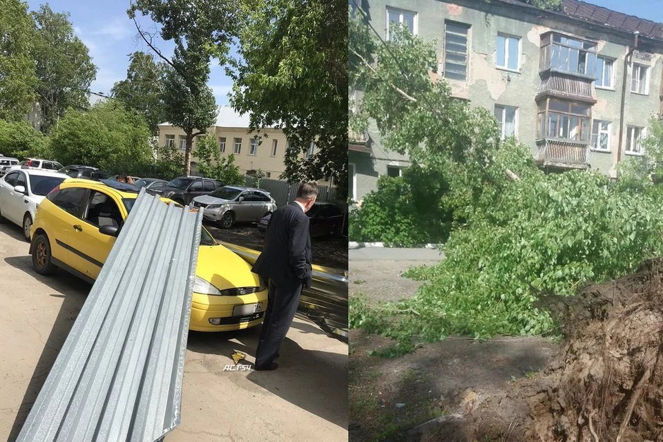 Ветел валил деревья и срывал шифер с крыши. Фото: «АСТ-54», «Инцидент Новосибирск».