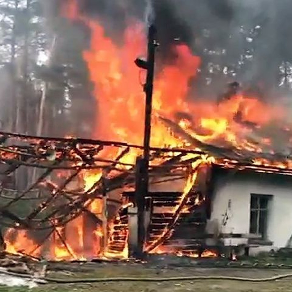 В Новосибирске загорелся заброшенный детский лагерь - KP.RU