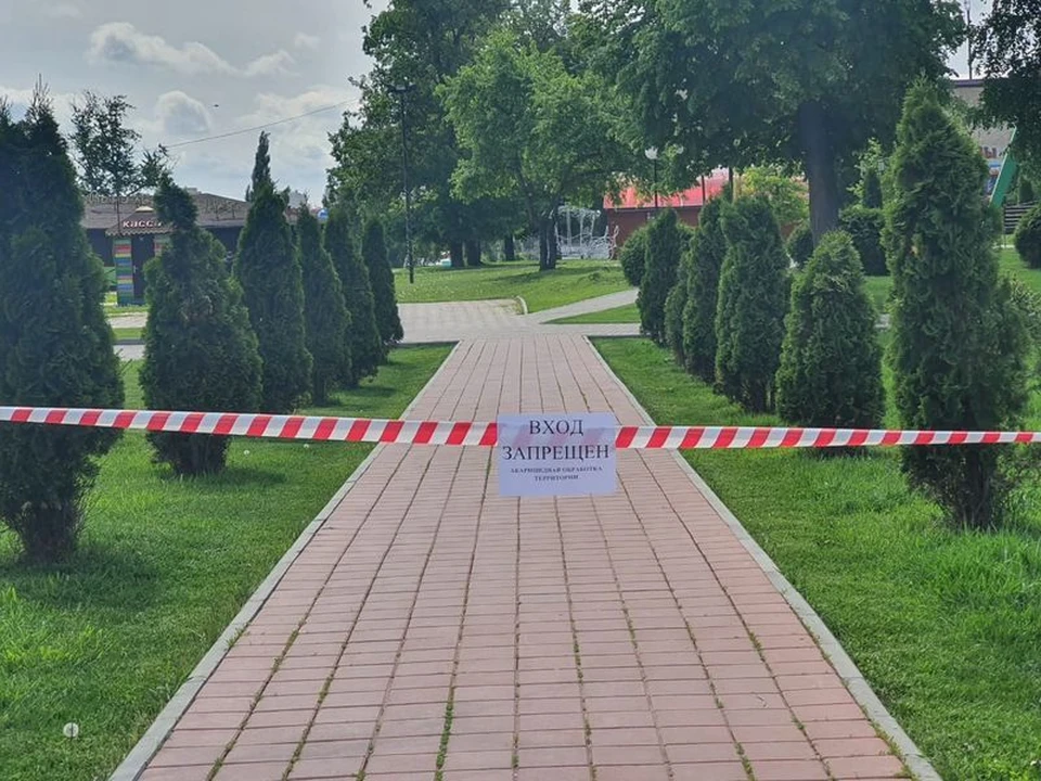 С начала весны для удаления клещей в травмпункт больницы имени Архиепископа Луки обратились уже 280 человек