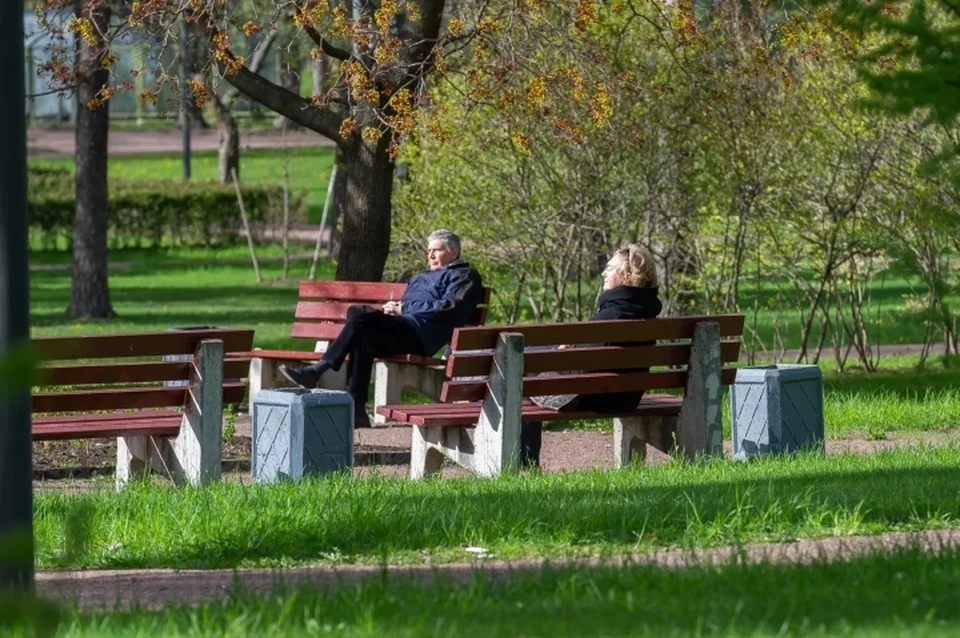 Власти Санкт-Петербурга рассказали, когда в городе откроют парки и скверы.