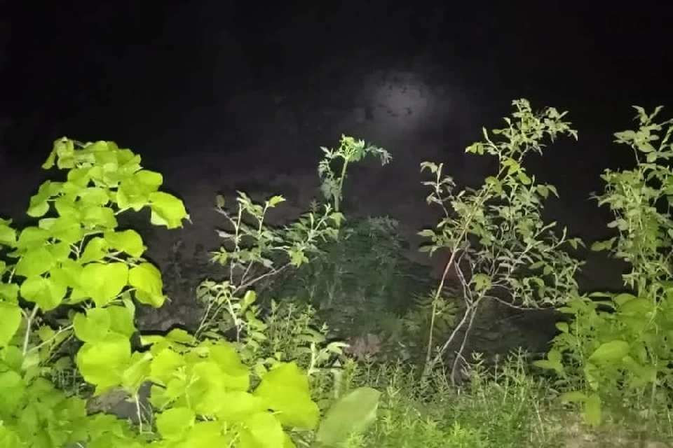 Поиски были начаты поздно вечером.