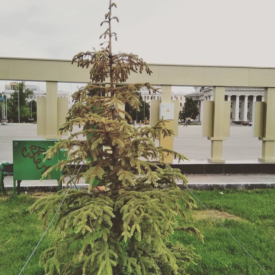Фото из Instagram Ольги Сокольской