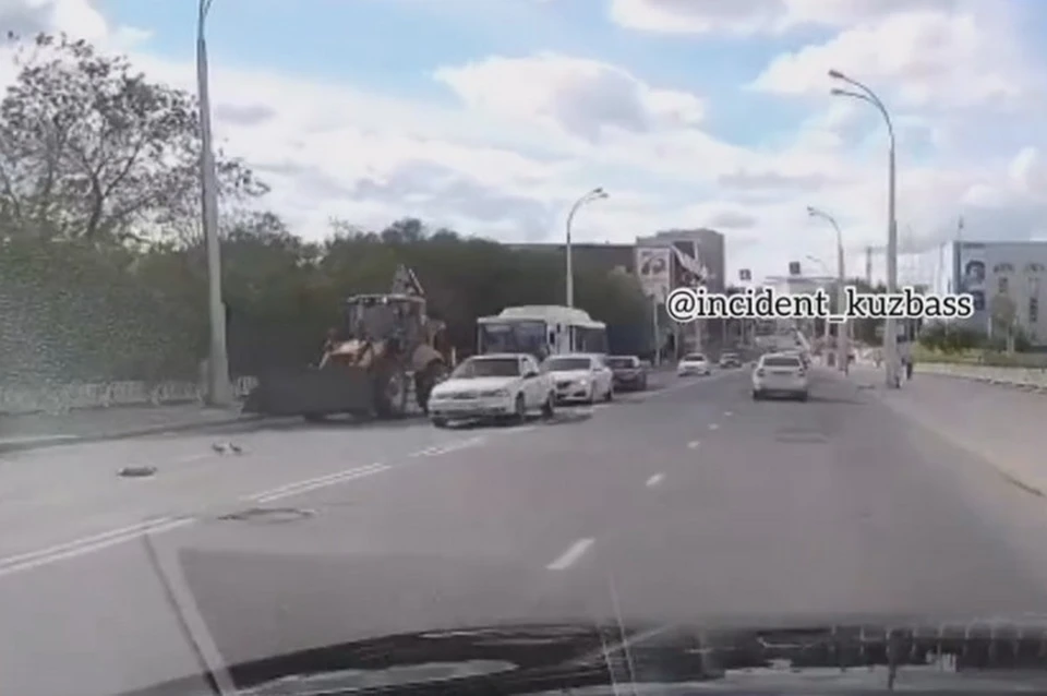 Автомобилист задавил маму-утку на мосту в Кемерове. ФОТО: кадр видео vk.com, "Инцидент Кузбасс"