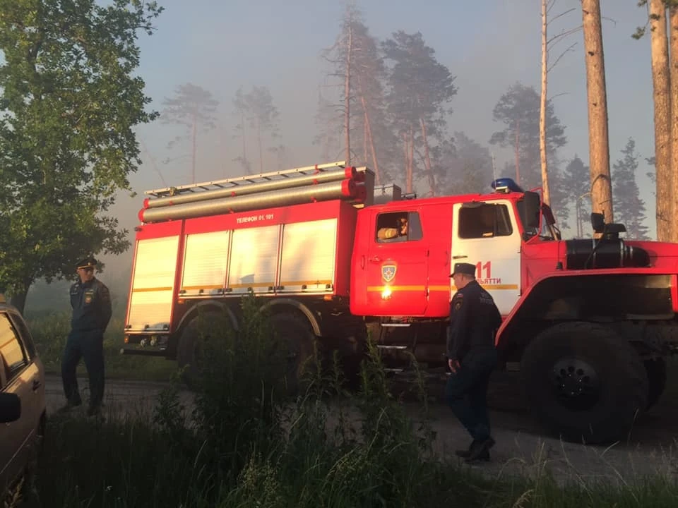 В Тольятти тушили лес