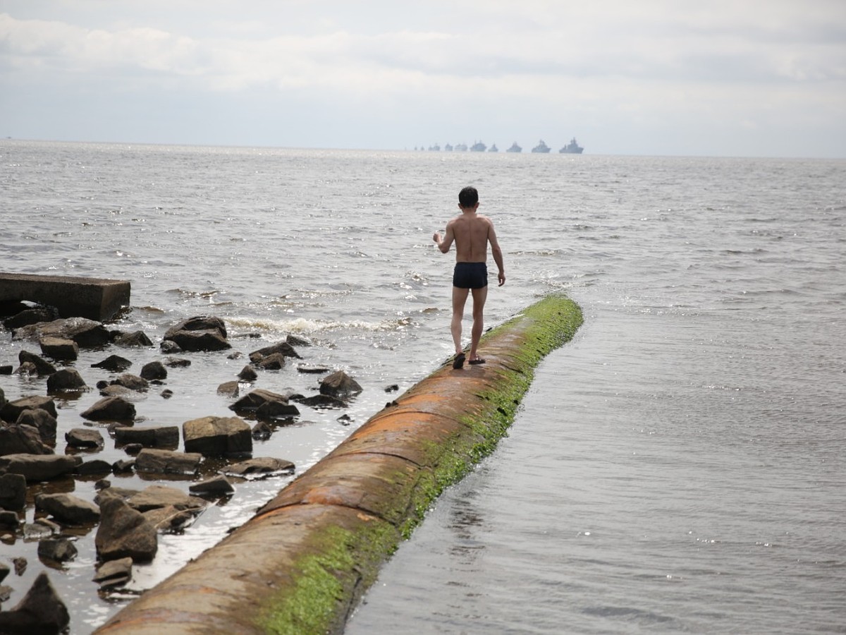 Понеслось по трубам: в море всплыл «глубоководный выпуск» канализации  Владивостока - KP.RU