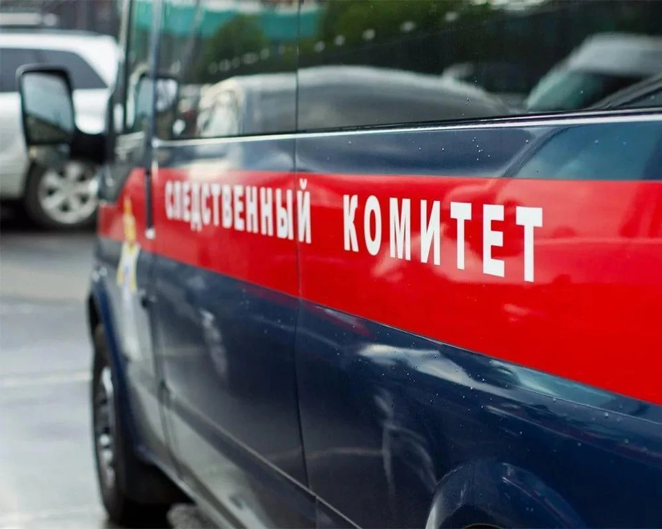 Расследование уголовного дела продолжается.