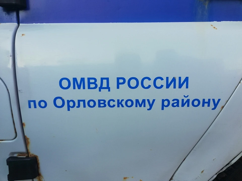 Инцидент произошел в одном из поселков Орловского района