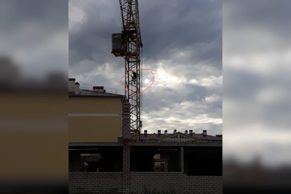фото: соцсети