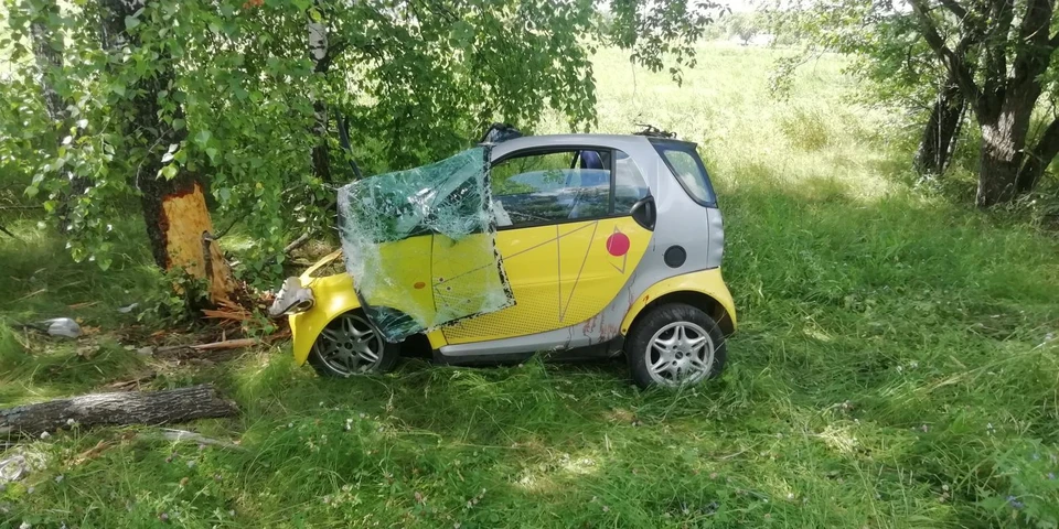 В Орловской области водитель «Смарта» протаранил дерево, вылетев в кювет. Фото региональной Госавтоинспекции