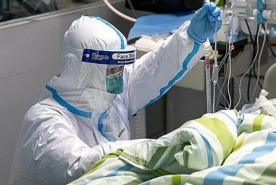 Опасность вспышки бубонной чумы для россиян оценил эксперт