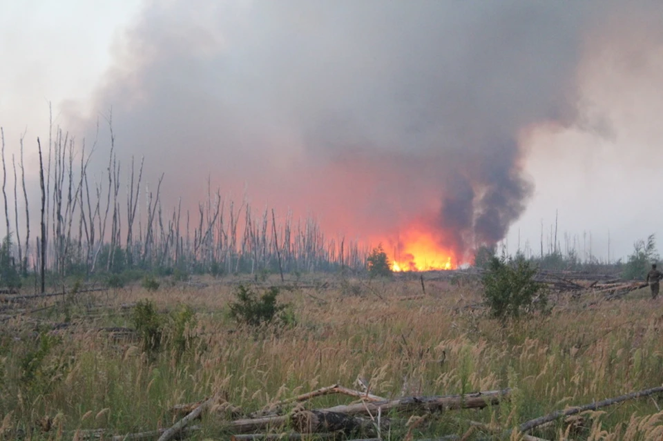 С пятью лесными пожарами, возникшими по неосторожности, справились с большим трудом.