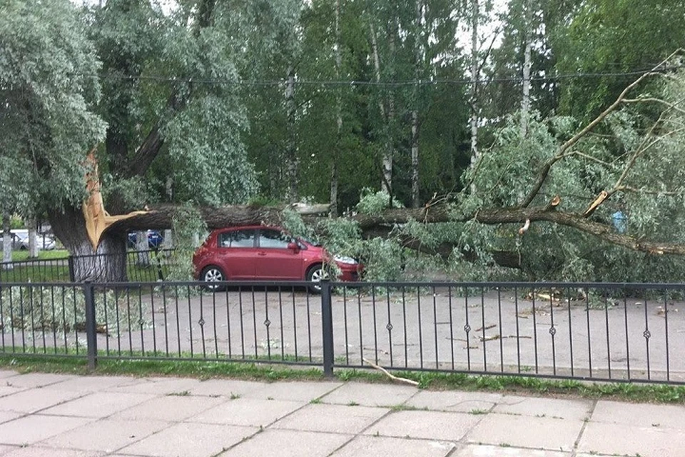 МЧС предупреждает об усилении ветра в Петербурге и области. Фото: vk.com/spb_today
