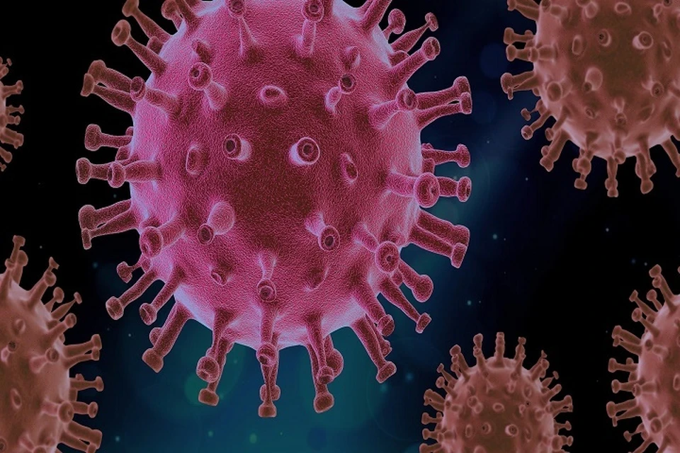 Число заболевших коронавирусом в ХМАО на 14 июля 2020 года составило 12742 человек