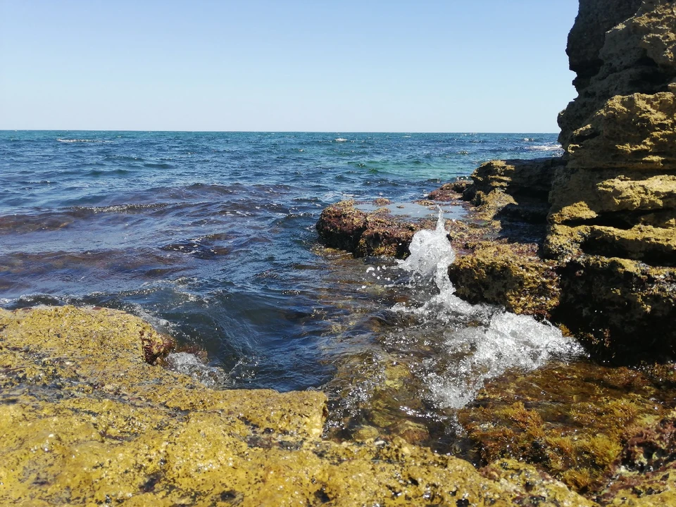 Черное море прогрелось до +24°.