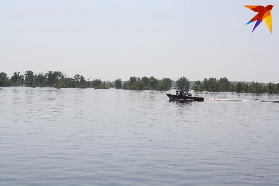 Несмотря на не самое жаркое лето, люди тонут на водоёмах Тверской области.