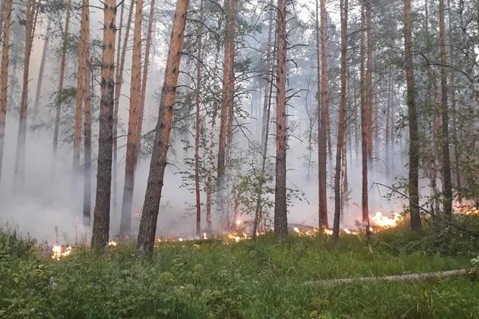 фото: vk.com / Радий Хабиров