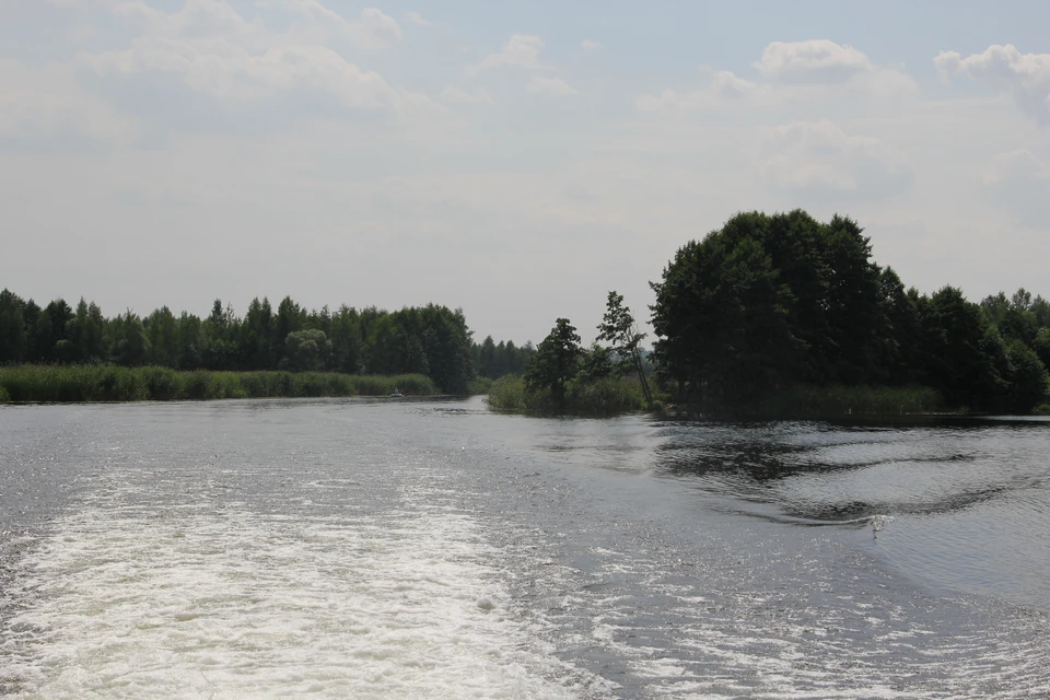 Село Нелжа Рамонского района