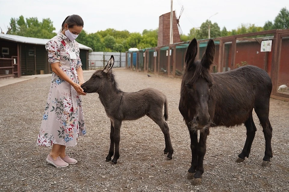 Малыш родился у пары Мальвы и Зайца.