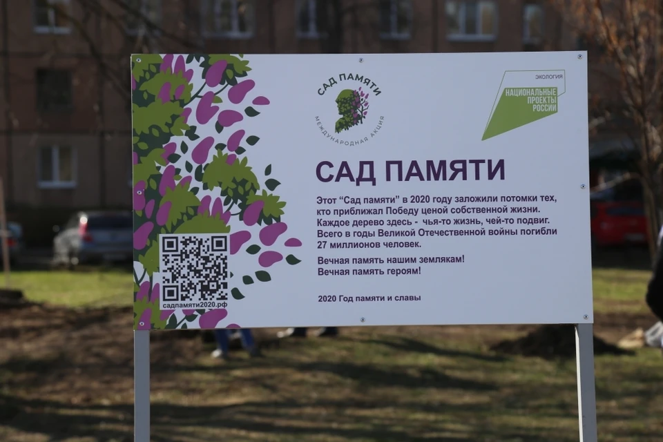 В рамках акции «Сад памяти на Орловщине посадили почти 29 тысяч деревьев. Фото пресс-службы губернатора Орловской области