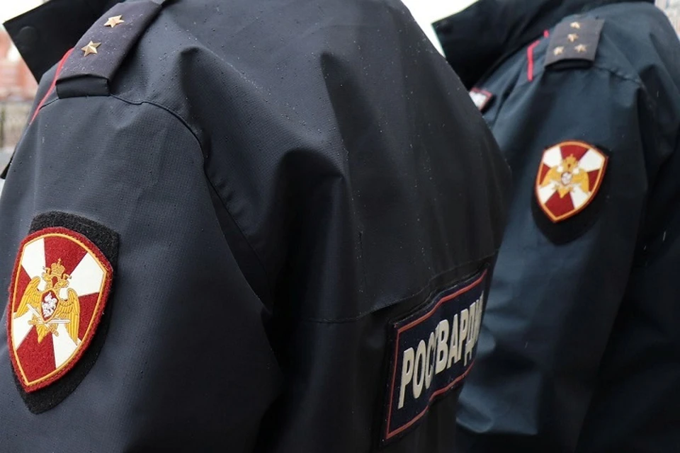 Злоумышленника задержали росгвардейцы