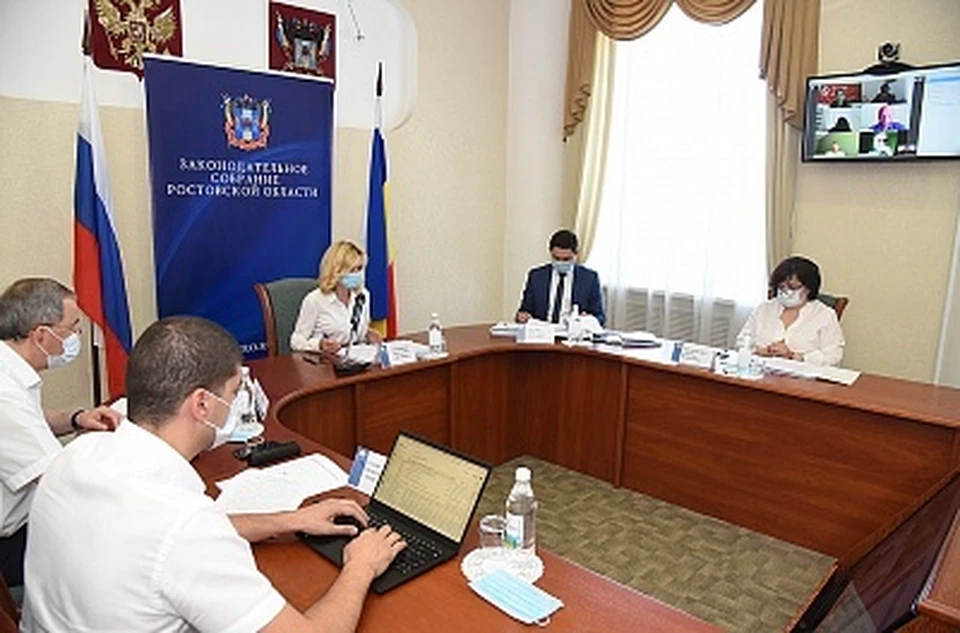 В донском парламенте прошло заседание профильного комитета по взаимодействию с общественными объединениями и туризму. Фото: пресс-служба ЗСРО.