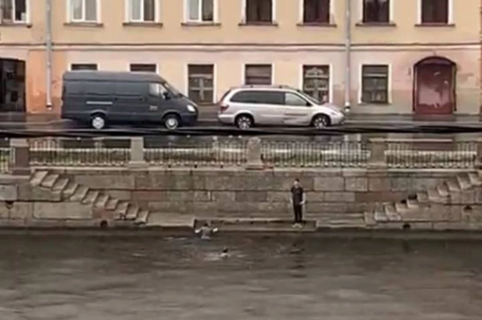 Подростки устроили заплыв в Фонтанке во время ливня