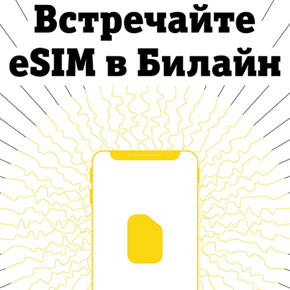 eSIM от Билайн: дистанционное подключение за 5 минут - KP.RU