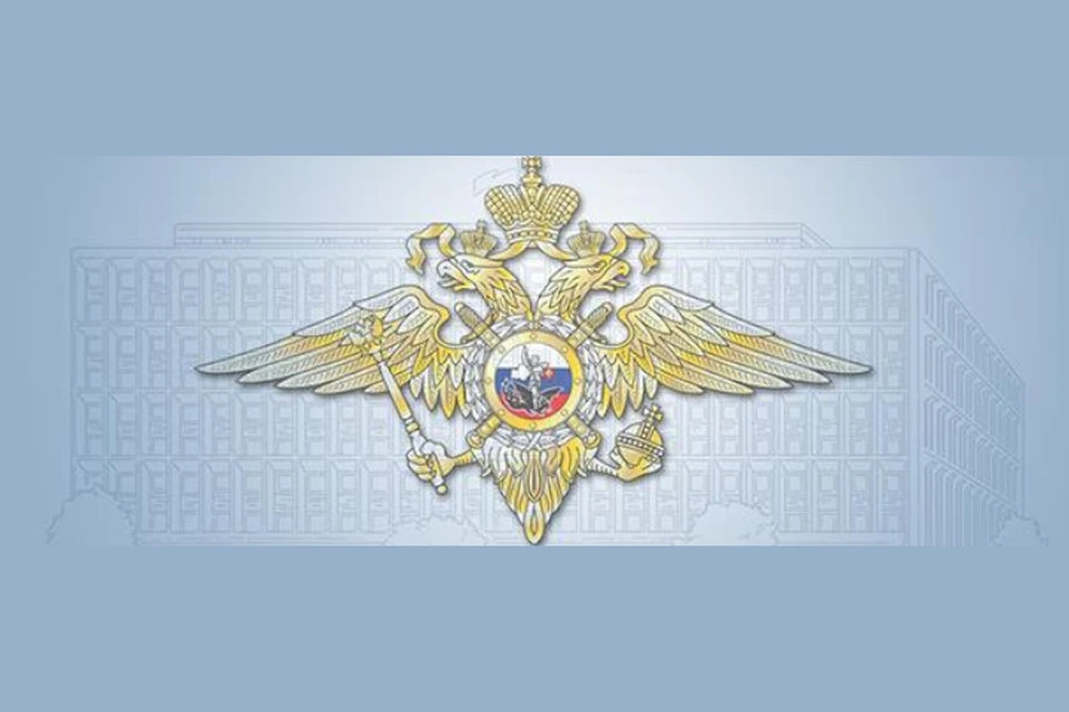Уволен сотрудник полиции Московского метро, сбивший подростков в Тверской области. Графика: метро.мск.мвд.рф