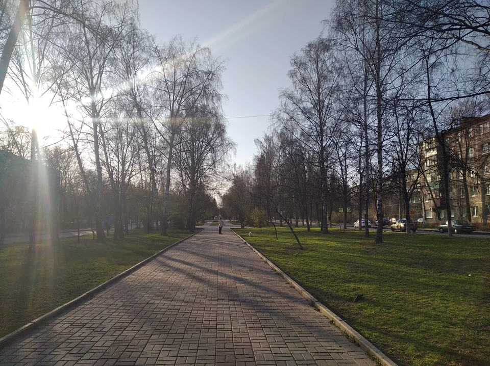 В городе может появиться еще один сквер