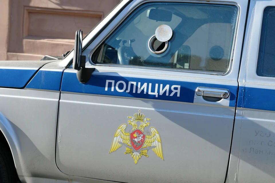 Петербуржец развращал 9-летнюю соседку по даче