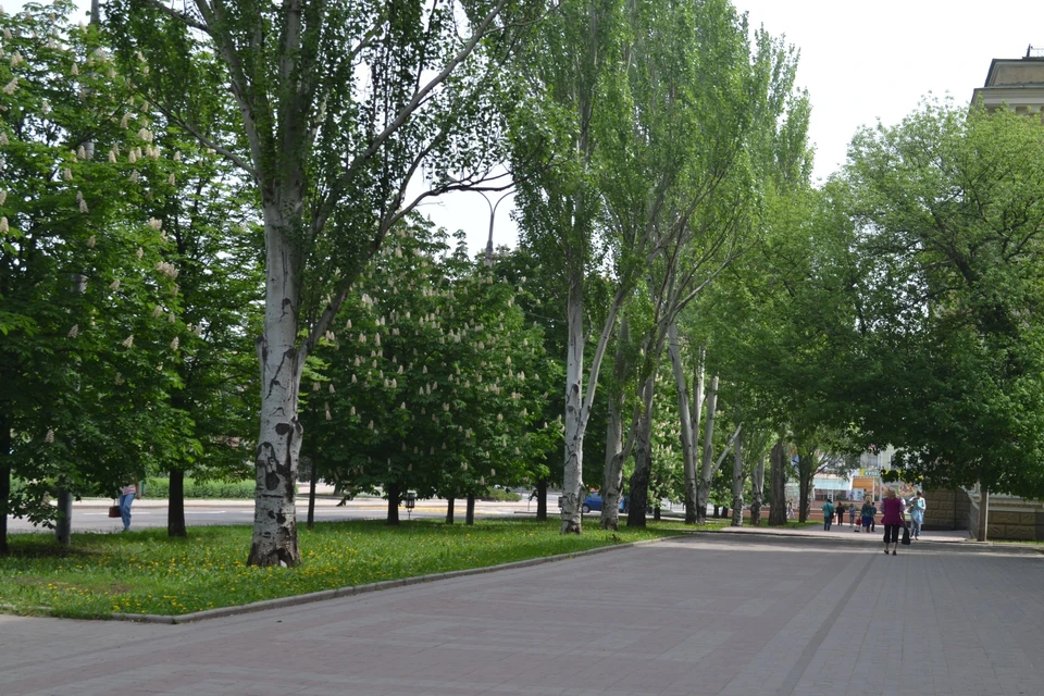 По предварительному прогнозу следующие два дня также ожидается переменная облачность, но уже без осадков