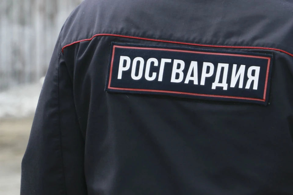 Росгвардейцы передали подозреваемого сотрудникам полиции.