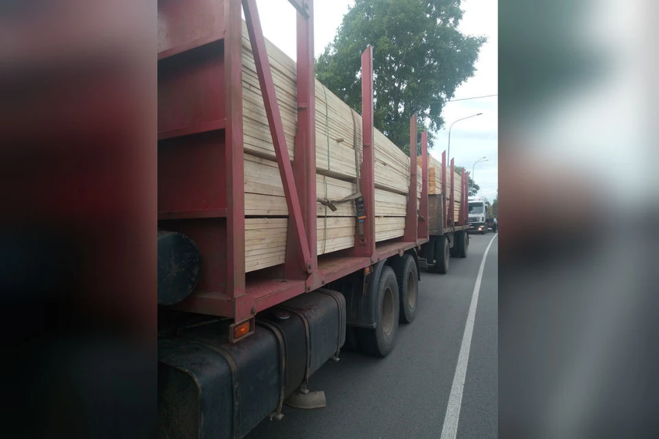 В ходе мероприятия выявлены два нарушения при транспортировки лесоматериалов. Фото: rshn43.ru