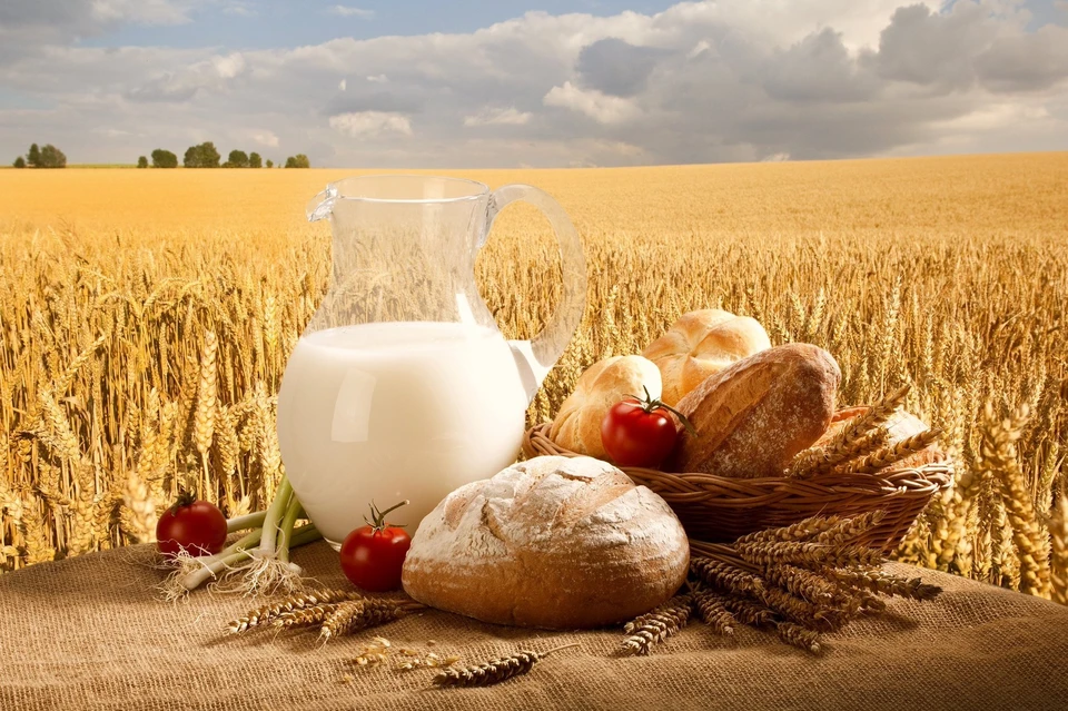 Объем экспорта к концу года продукции АПК планируется в сумме 30,5 млн долларов.