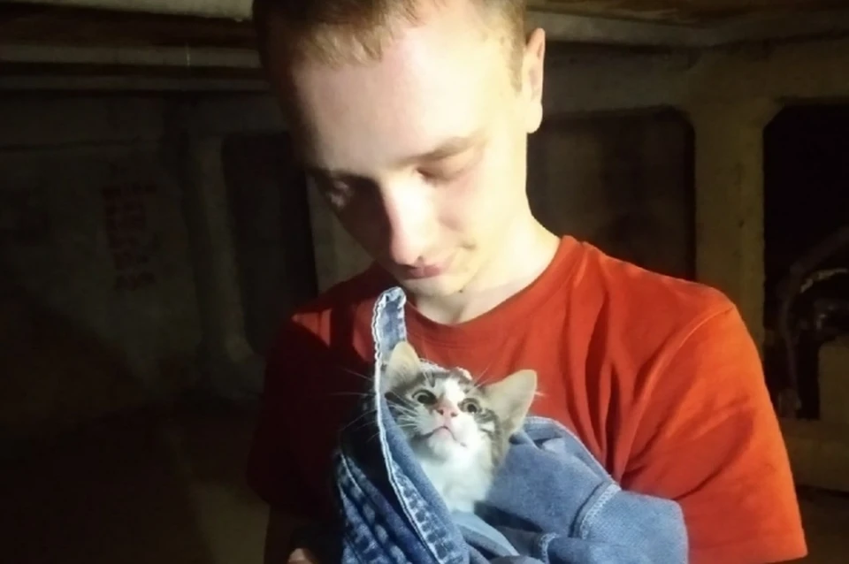 Котенка спасли из вентшахты дома на Малой Балканской. Фото: vk.com/koshkispas