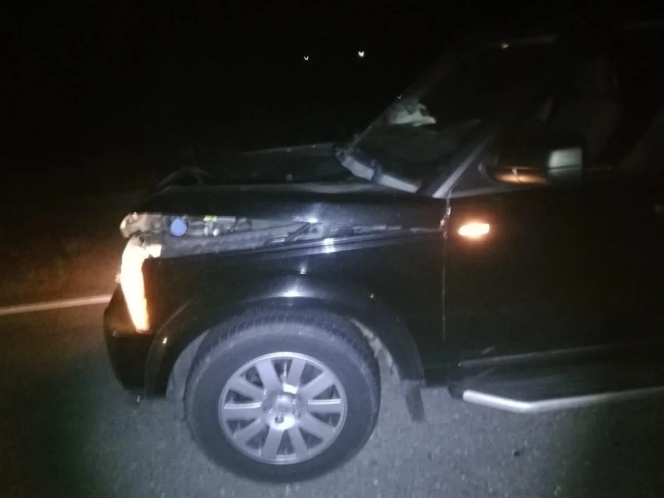 Москвич на Land Rover насмерть сбил в Пителинском районе 22-летнего рязанца.