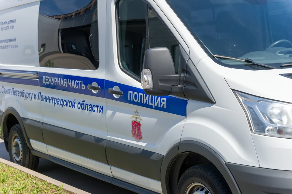Полиция ищет пятерых грабителей, обчистивших бизнес-центр на Московском шоссе.