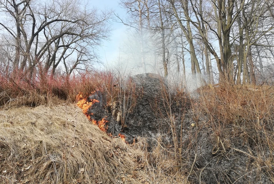 В Орловской области поджигателей сухой травы наказали на 2 миллиона рублей